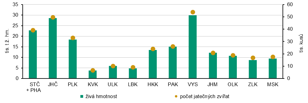 Graf 7 Výroba jatečného skotu podle krajů v roce 2025