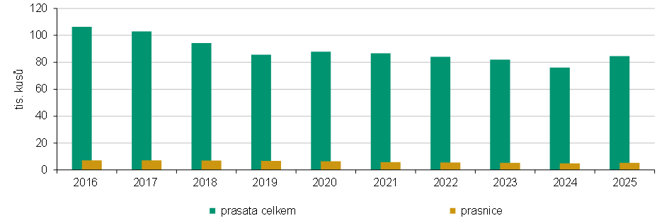 Graf 2 Stavy prasat a prasnic v Jihočeském kraji (k 31. 12.)