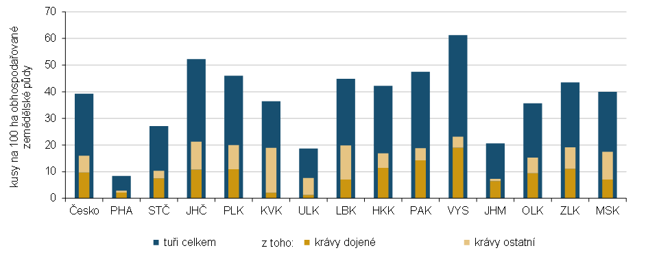 Graf 3 Intenzita chovu skotu k 31. 12. 2025 podle krajů