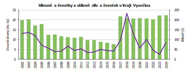 Slivoně a švestky a sklizeň slív a švestek v Kraji Vysočina