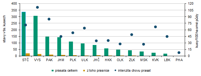 Graf 5 Stavy prasat podle krajů k 31. 12. 2025