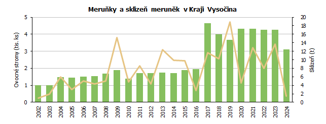 Meruňky a sklizeň meruněk v Kraji Vysočina