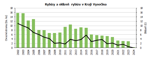 Rybízy a sklizeň rybízu v Kraji Vysočina