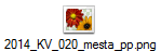 2014_KV_020_mesta_pp.png