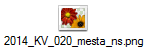 2014_KV_020_mesta_ns.png