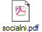 socialni.pdf